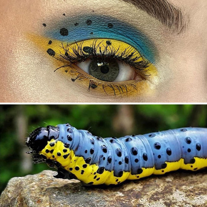 Artist Shows The Beauty Of Insects With Her 30 Matching Eye Makeup Looks Artist Shows The Beauty Of Insects With Her 30 Matching Eye Makeup Looks