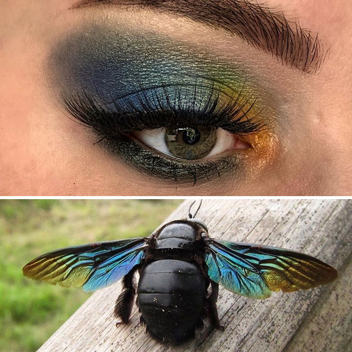 Artist Shows The Beauty Of Insects With Her 30 Matching Eye Makeup Looks Artist Shows The Beauty Of Insects With Her 30 Matching Eye Makeup Looks