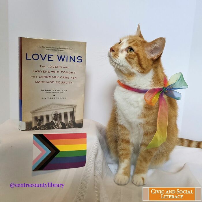 This Library Attracts The Public By Dressing Up One Librarian&#8217;s Cat As Literary And Movie Icons (100 Pics)