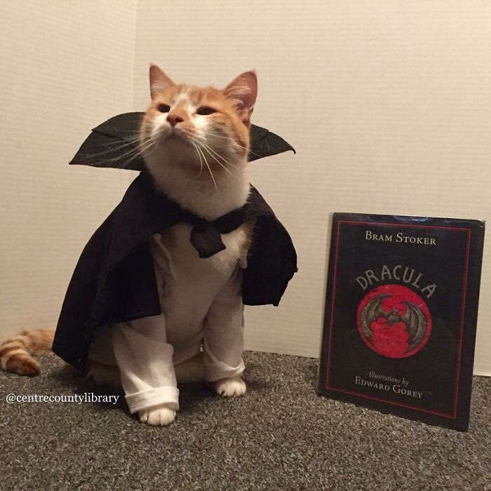 This Library Attracts The Public By Dressing Up One Librarian&#8217;s Cat As Literary And Movie Icons (100 Pics)