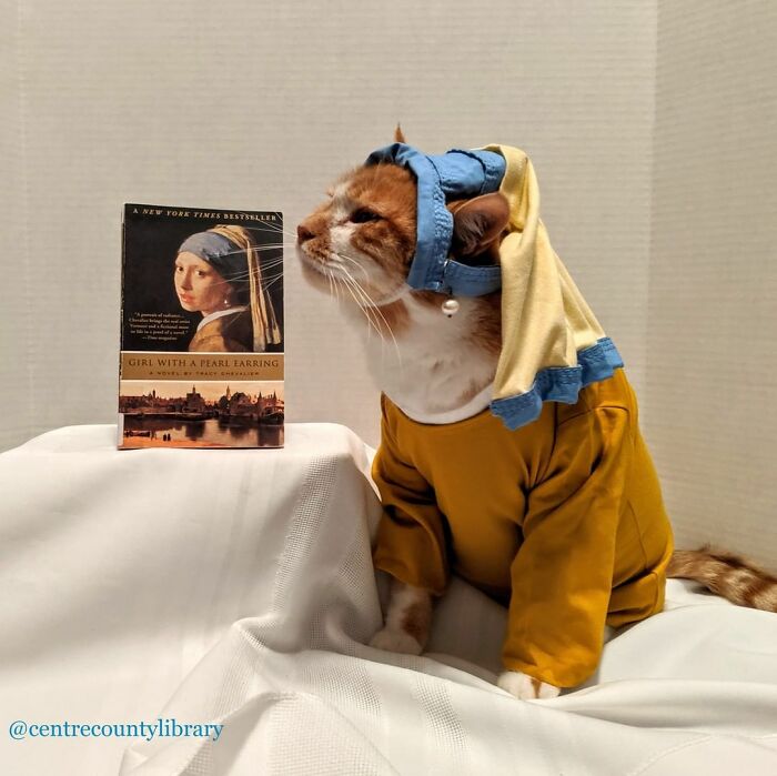 This Library Attracts The Public By Dressing Up One Librarian&#8217;s Cat As Literary And Movie Icons (100 Pics)