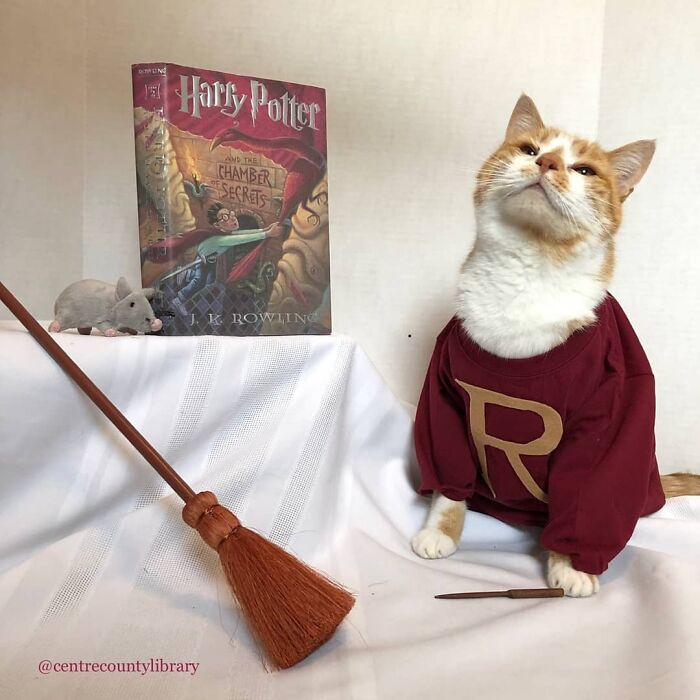 This Library Attracts The Public By Dressing Up One Librarian&#8217;s Cat As Literary And Movie Icons (100 Pics)