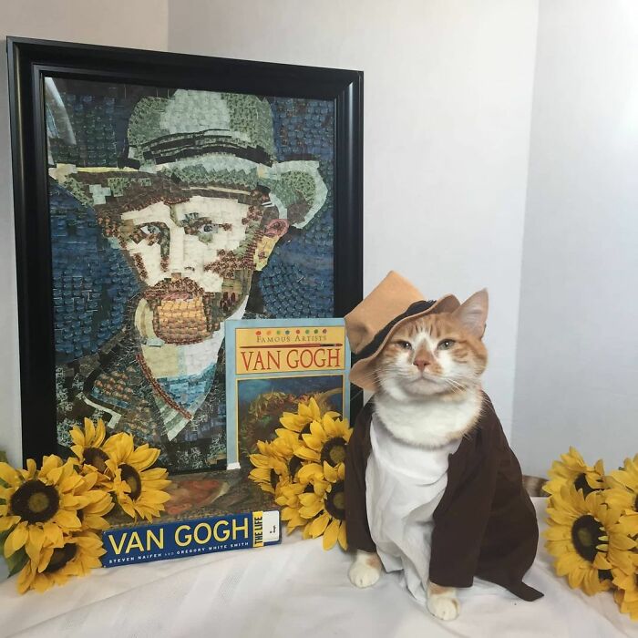 This Library Attracts The Public By Dressing Up One Librarian&#8217;s Cat As Literary And Movie Icons (100 Pics)