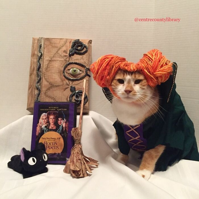 This Library Attracts The Public By Dressing Up One Librarian&#8217;s Cat As Literary And Movie Icons (100 Pics)