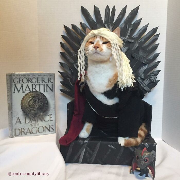 This Library Attracts The Public By Dressing Up One Librarian&#8217;s Cat As Literary And Movie Icons (100 Pics)