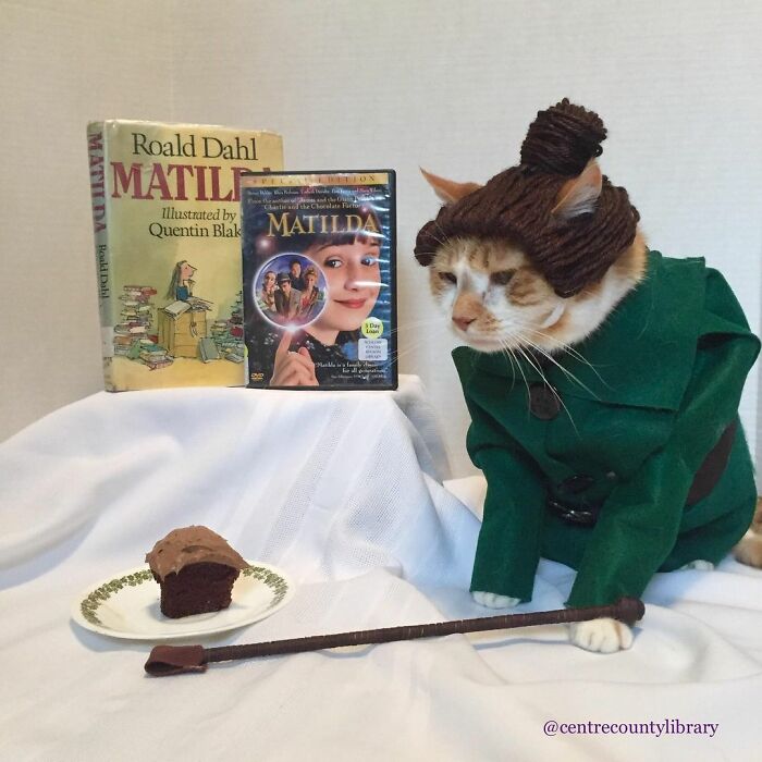 This Library Attracts The Public By Dressing Up One Librarian&#8217;s Cat As Literary And Movie Icons (100 Pics)