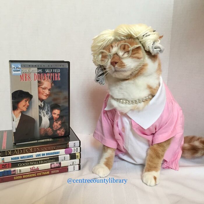 This Library Attracts The Public By Dressing Up One Librarian&#8217;s Cat As Literary And Movie Icons (100 Pics)