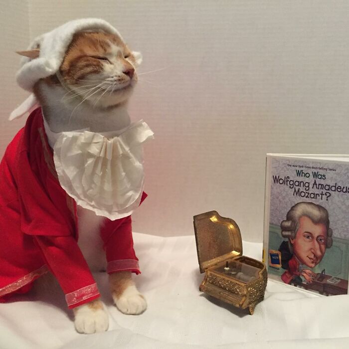 This Library Attracts The Public By Dressing Up One Librarian&#8217;s Cat As Literary And Movie Icons (100 Pics)