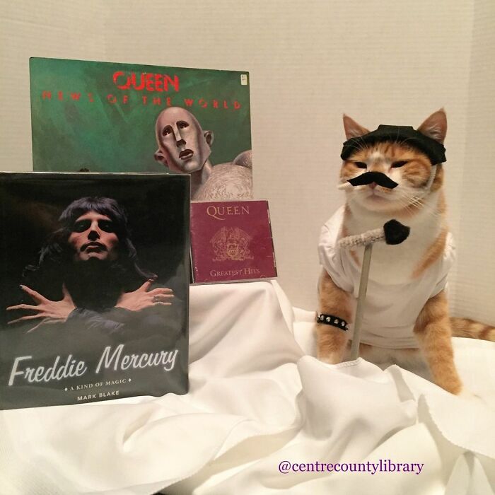 This Library Attracts The Public By Dressing Up One Librarian&#8217;s Cat As Literary And Movie Icons (100 Pics)