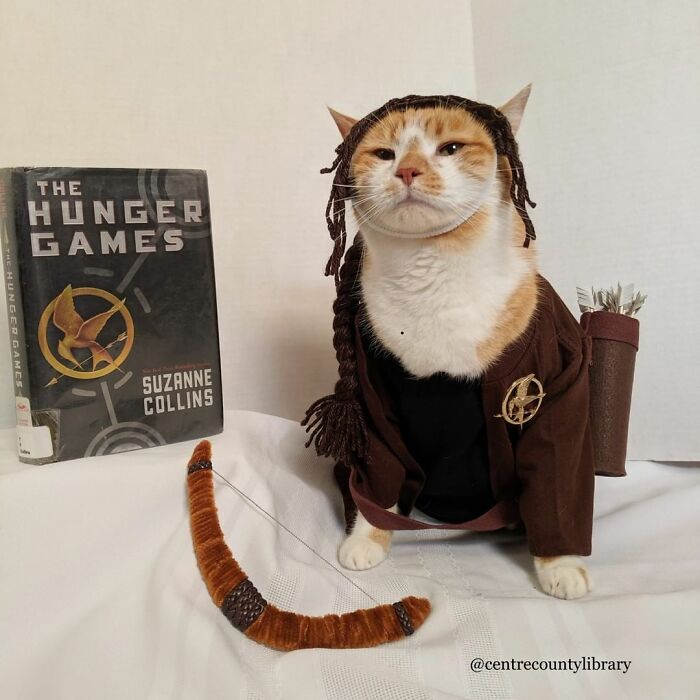 This Library Attracts The Public By Dressing Up One Librarian&#8217;s Cat As Literary And Movie Icons (100 Pics)