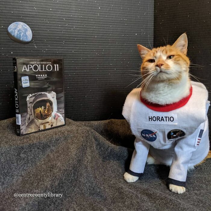 This Library Attracts The Public By Dressing Up One Librarian&#8217;s Cat As Literary And Movie Icons (100 Pics)