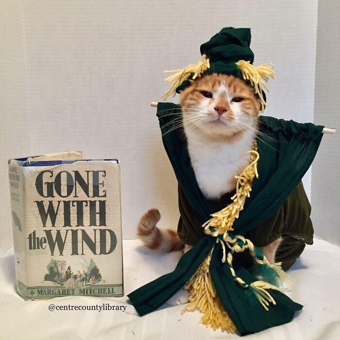 This Library Attracts The Public By Dressing Up One Librarian&#8217;s Cat As Literary And Movie Icons (100 Pics)