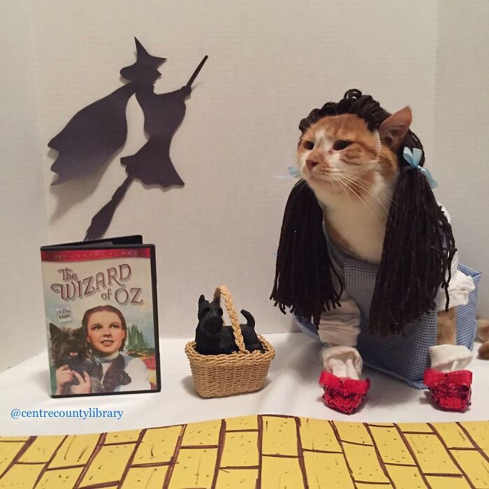 This Library Attracts The Public By Dressing Up One Librarian&#8217;s Cat As Literary And Movie Icons (100 Pics)