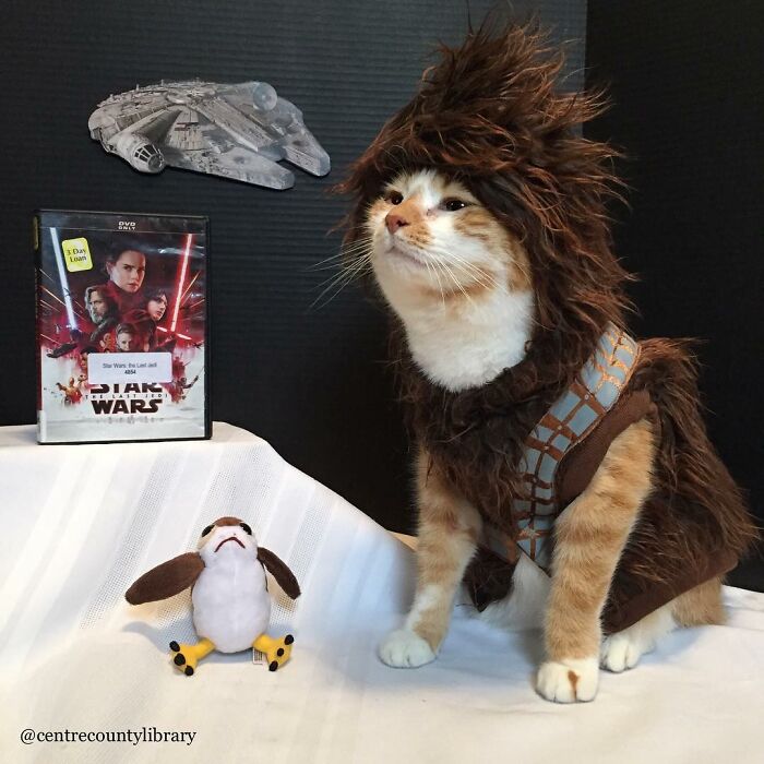 This Library Attracts The Public By Dressing Up One Librarian&#8217;s Cat As Literary And Movie Icons (100 Pics)
