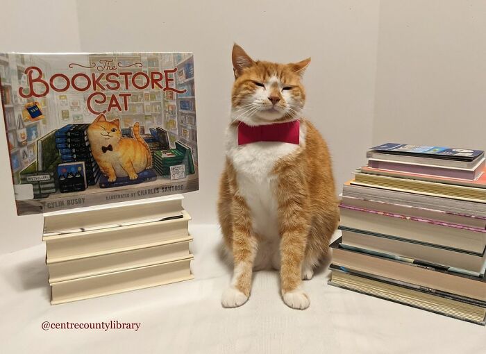 This Library Attracts The Public By Dressing Up One Librarian&#8217;s Cat As Literary And Movie Icons (100 Pics)