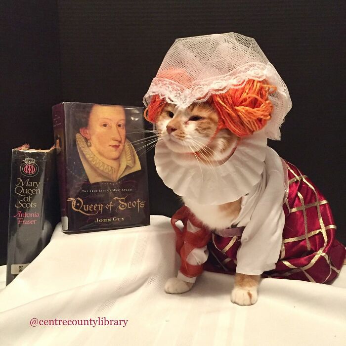 This Library Attracts The Public By Dressing Up One Librarian&#8217;s Cat As Literary And Movie Icons (100 Pics)