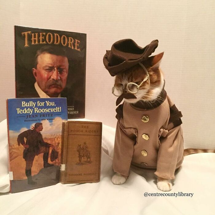 This Library Attracts The Public By Dressing Up One Librarian&#8217;s Cat As Literary And Movie Icons (100 Pics)
