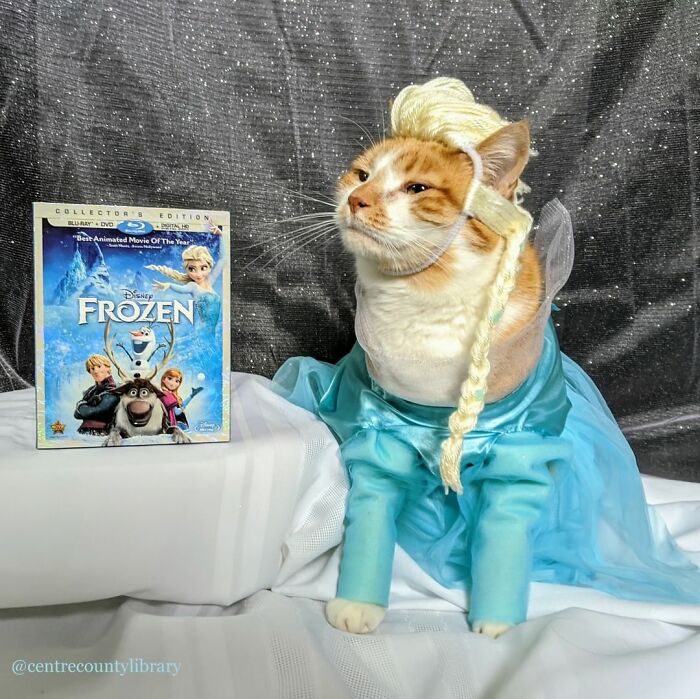 This Library Attracts The Public By Dressing Up One Librarian&#8217;s Cat As Literary And Movie Icons (100 Pics)