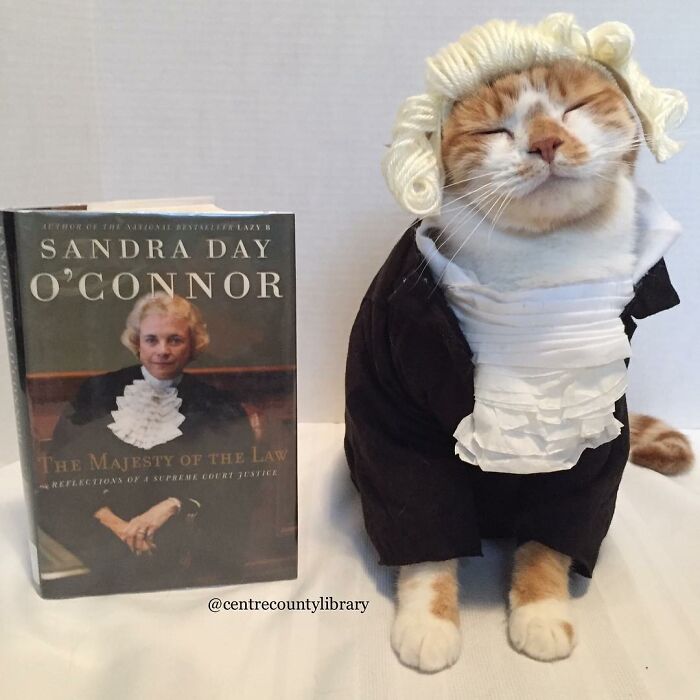 This Library Attracts The Public By Dressing Up One Librarian&#8217;s Cat As Literary And Movie Icons (100 Pics)