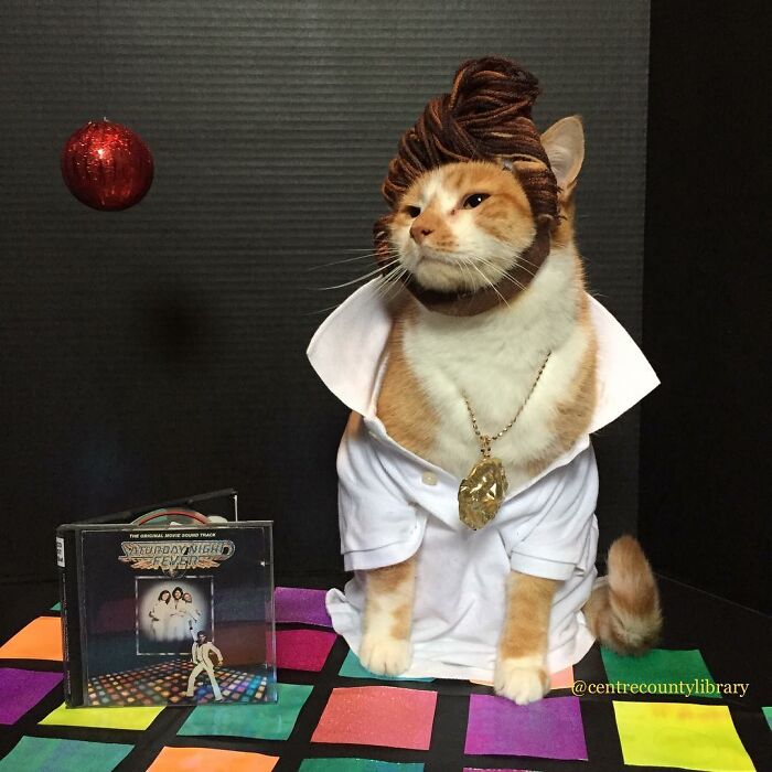 This Library Attracts The Public By Dressing Up One Librarian&#8217;s Cat As Literary And Movie Icons (100 Pics)