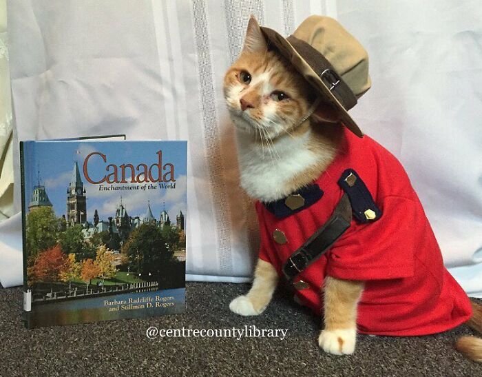 This Library Attracts The Public By Dressing Up One Librarian&#8217;s Cat As Literary And Movie Icons (100 Pics)