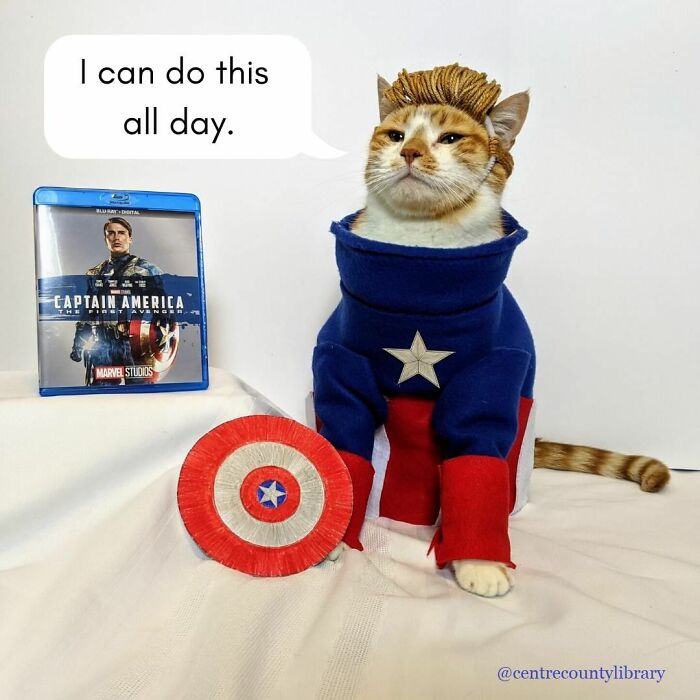 This Library Attracts The Public By Dressing Up One Librarian&#8217;s Cat As Literary And Movie Icons (100 Pics)