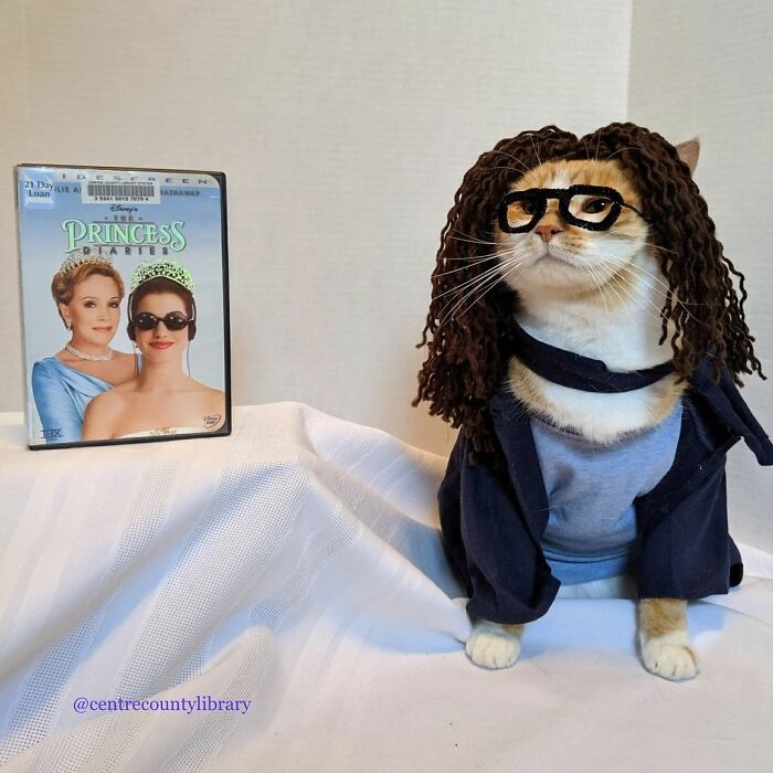 This Library Attracts The Public By Dressing Up One Librarian&#8217;s Cat As Literary And Movie Icons (100 Pics)