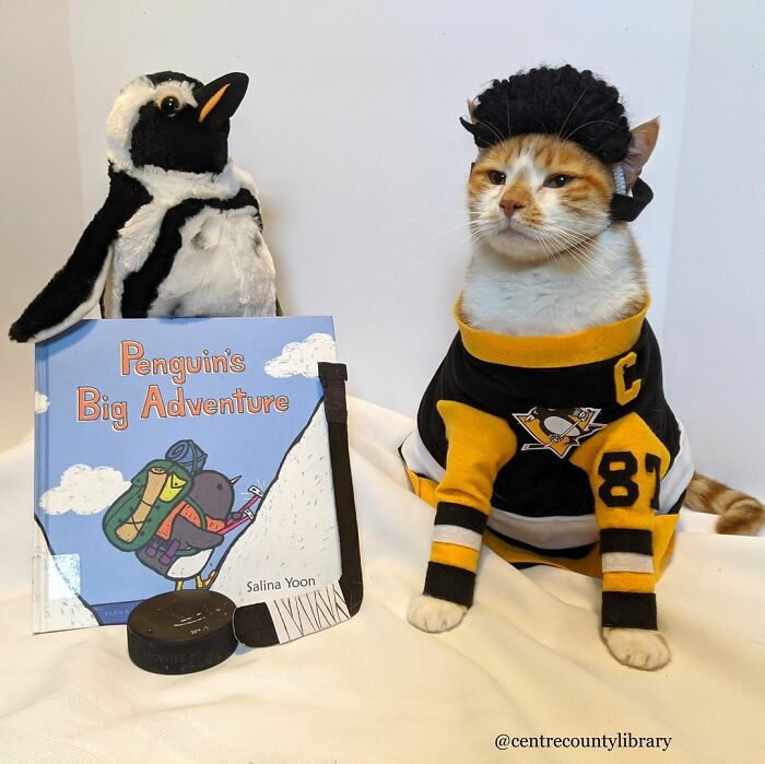 This Library Attracts The Public By Dressing Up One Librarian&#8217;s Cat As Literary And Movie Icons (100 Pics)