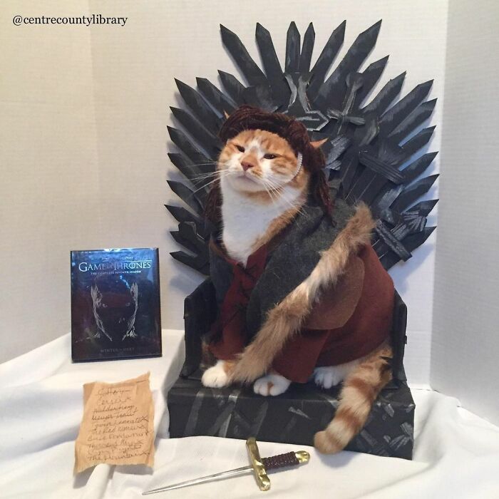 This Library Attracts The Public By Dressing Up One Librarian&#8217;s Cat As Literary And Movie Icons (100 Pics)