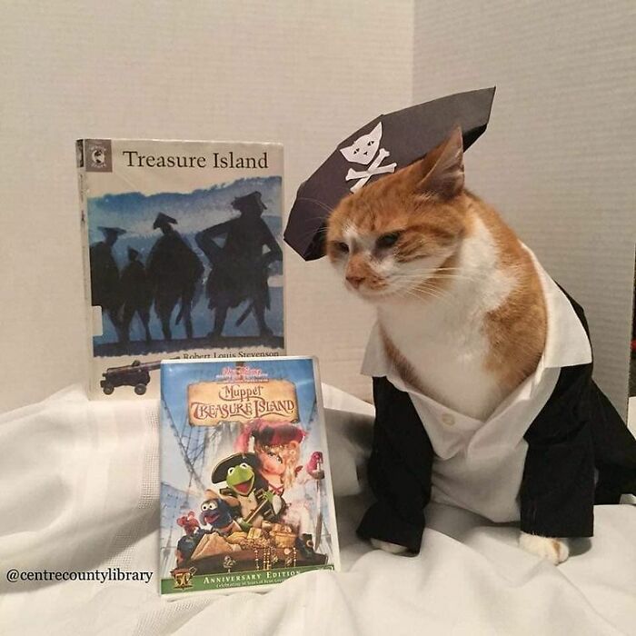 This Library Attracts The Public By Dressing Up One Librarian&#8217;s Cat As Literary And Movie Icons (100 Pics)