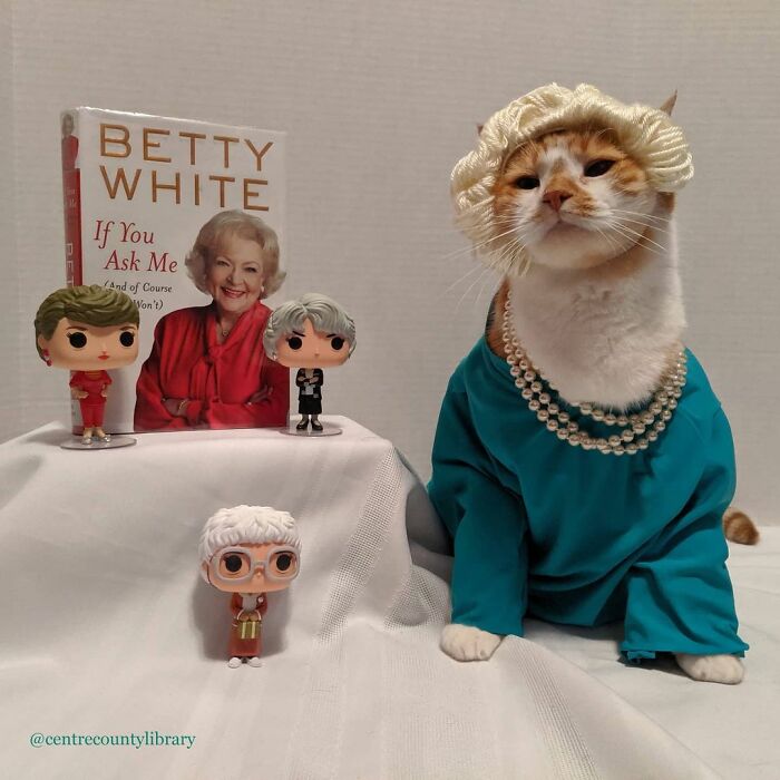 This Library Attracts The Public By Dressing Up One Librarian&#8217;s Cat As Literary And Movie Icons (100 Pics)