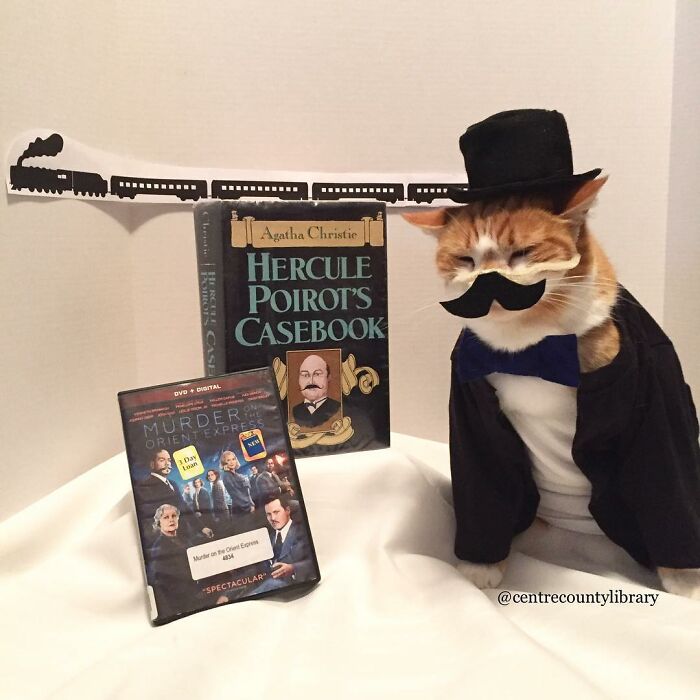 This Library Attracts The Public By Dressing Up One Librarian&#8217;s Cat As Literary And Movie Icons (100 Pics)