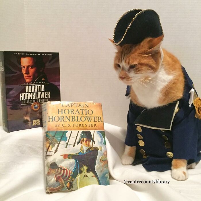 This Library Attracts The Public By Dressing Up One Librarian&#8217;s Cat As Literary And Movie Icons (100 Pics)