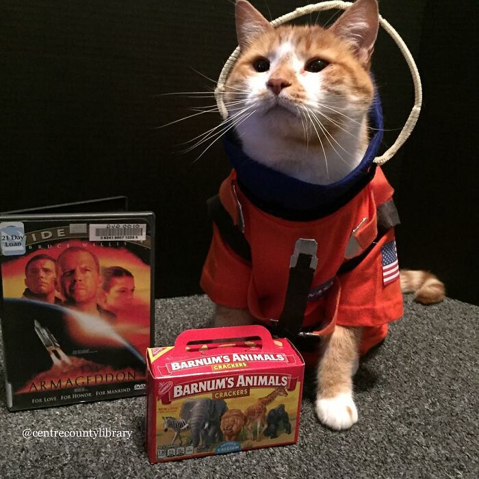 This Library Attracts The Public By Dressing Up One Librarian&#8217;s Cat As Literary And Movie Icons (100 Pics)