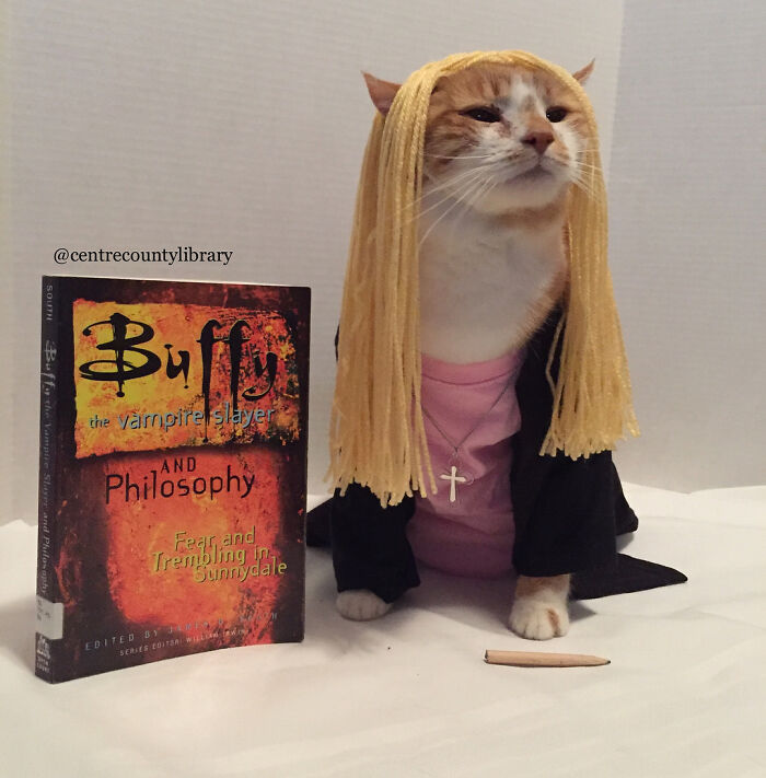 This Library Attracts The Public By Dressing Up One Librarian&#8217;s Cat As Literary And Movie Icons (100 Pics)