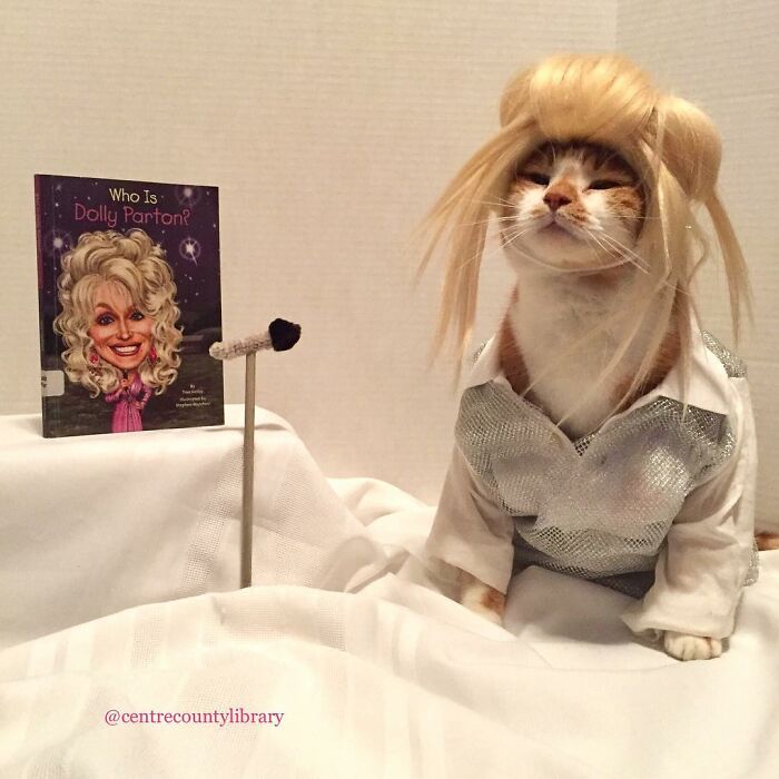 This Library Attracts The Public By Dressing Up One Librarian&#8217;s Cat As Literary And Movie Icons (100 Pics)