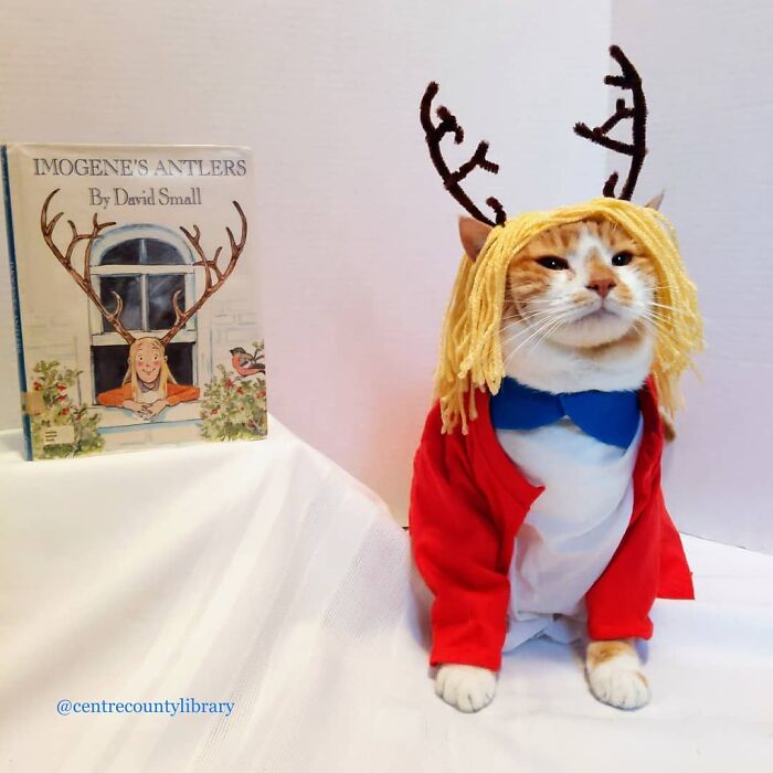 This Library Attracts The Public By Dressing Up One Librarian&#8217;s Cat As Literary And Movie Icons (100 Pics)
