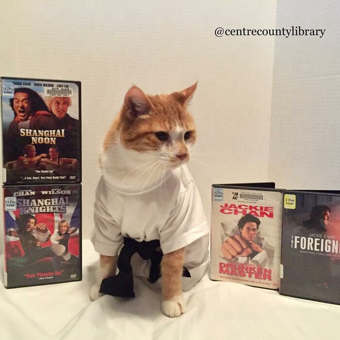 This Library Attracts The Public By Dressing Up One Librarian&#8217;s Cat As Literary And Movie Icons (100 Pics)