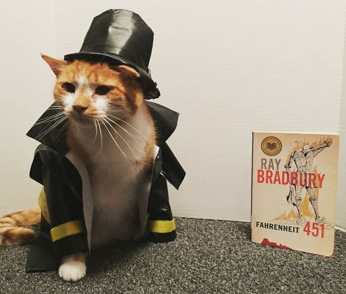 This Library Attracts The Public By Dressing Up One Librarian&#8217;s Cat As Literary And Movie Icons (100 Pics)