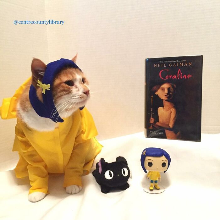 This Library Attracts The Public By Dressing Up One Librarian&#8217;s Cat As Literary And Movie Icons (100 Pics)