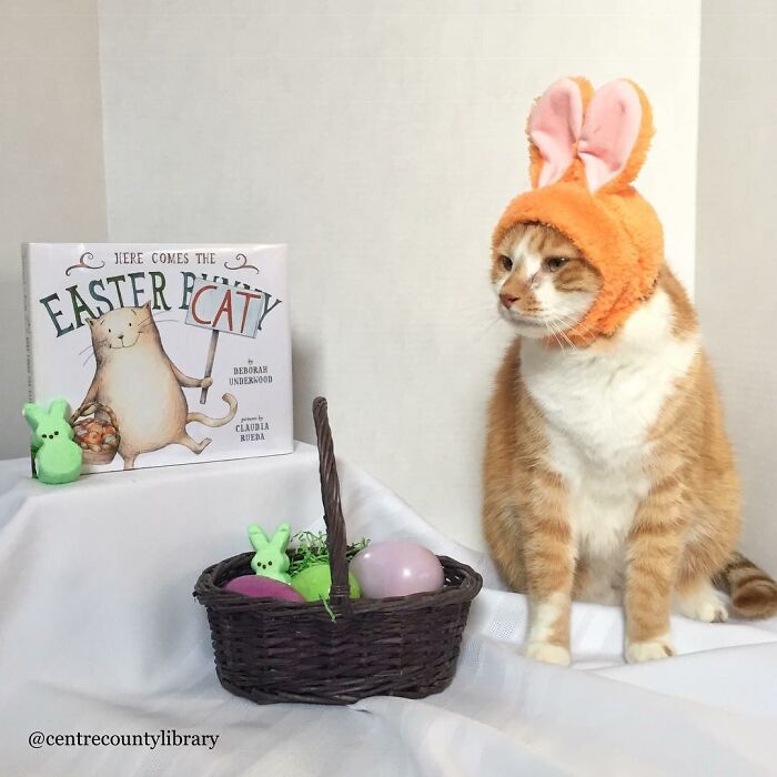 This Library Attracts The Public By Dressing Up One Librarian&#8217;s Cat As Literary And Movie Icons (100 Pics)