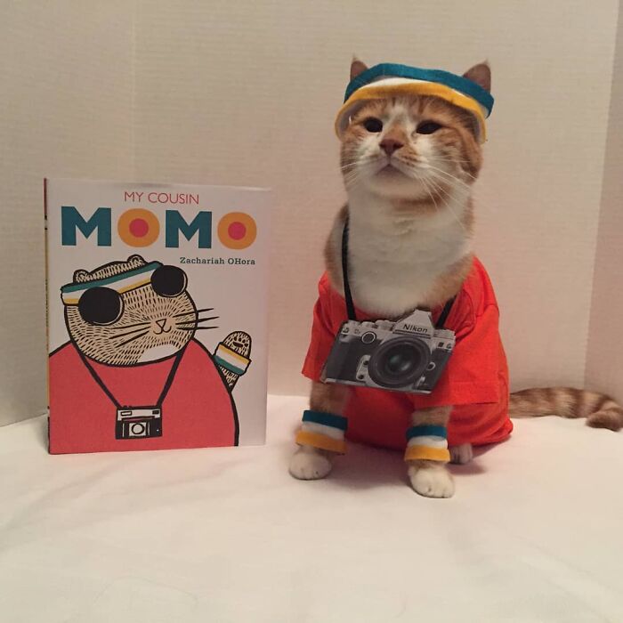 This Library Attracts The Public By Dressing Up One Librarian&#8217;s Cat As Literary And Movie Icons (100 Pics)