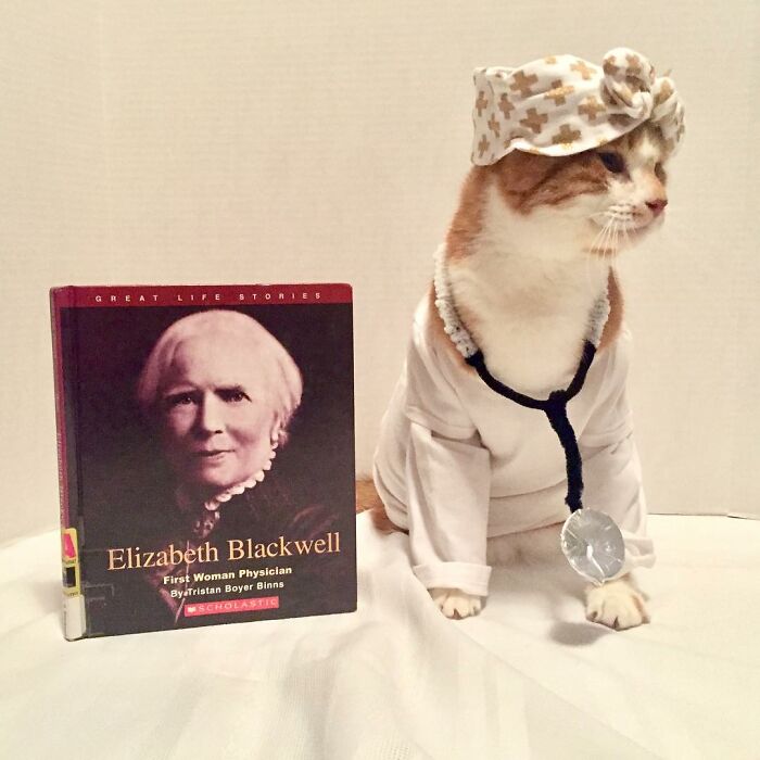This Library Attracts The Public By Dressing Up One Librarian&#8217;s Cat As Literary And Movie Icons (100 Pics)