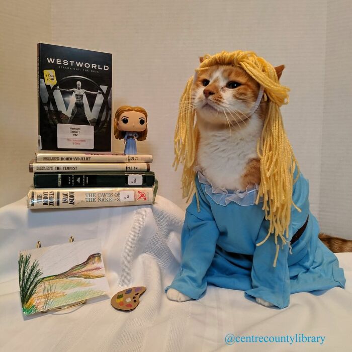 This Library Attracts The Public By Dressing Up One Librarian&#8217;s Cat As Literary And Movie Icons (100 Pics)