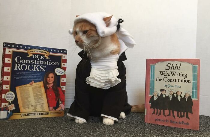 This Library Attracts The Public By Dressing Up One Librarian&#8217;s Cat As Literary And Movie Icons (100 Pics)