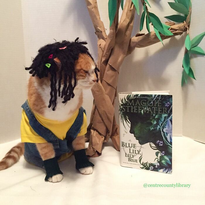 This Library Attracts The Public By Dressing Up One Librarian&#8217;s Cat As Literary And Movie Icons (100 Pics)