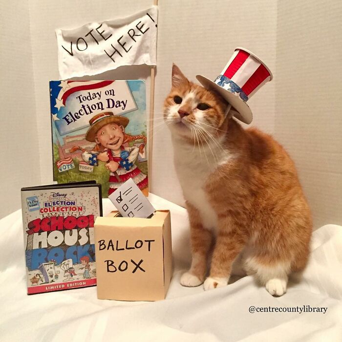 This Library Attracts The Public By Dressing Up One Librarian&#8217;s Cat As Literary And Movie Icons (100 Pics)