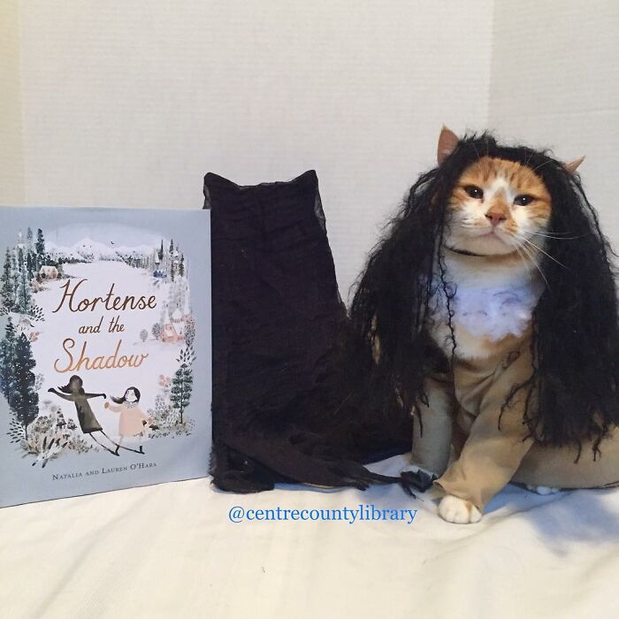 This Library Attracts The Public By Dressing Up One Librarian&#8217;s Cat As Literary And Movie Icons (100 Pics)