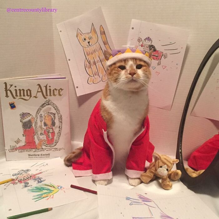 This Library Attracts The Public By Dressing Up One Librarian&#8217;s Cat As Literary And Movie Icons (100 Pics)