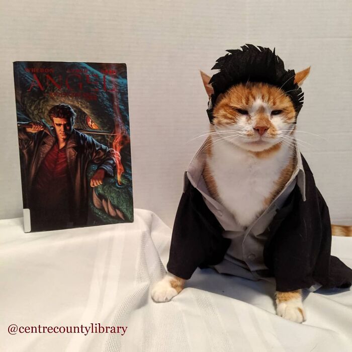 This Library Attracts The Public By Dressing Up One Librarian&#8217;s Cat As Literary And Movie Icons (100 Pics)